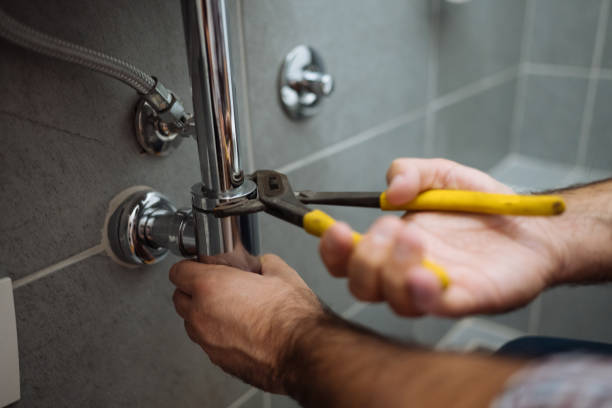 Best Plumbing Repair Near Me  in Three Oaks, MI