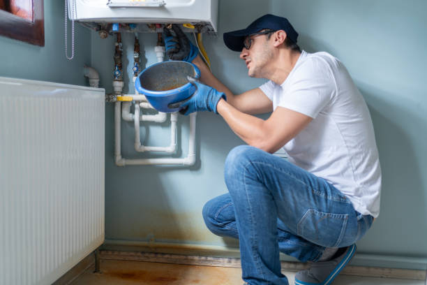 Best Plumbing Installation Services  in Three Oaks, MI