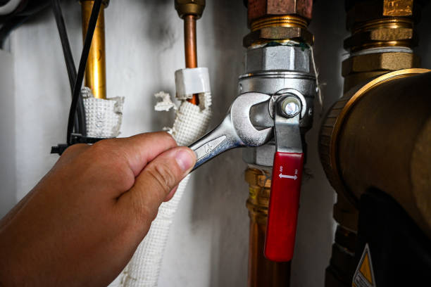 Best Plumbing Services Near Me  in Three Oaks, MI